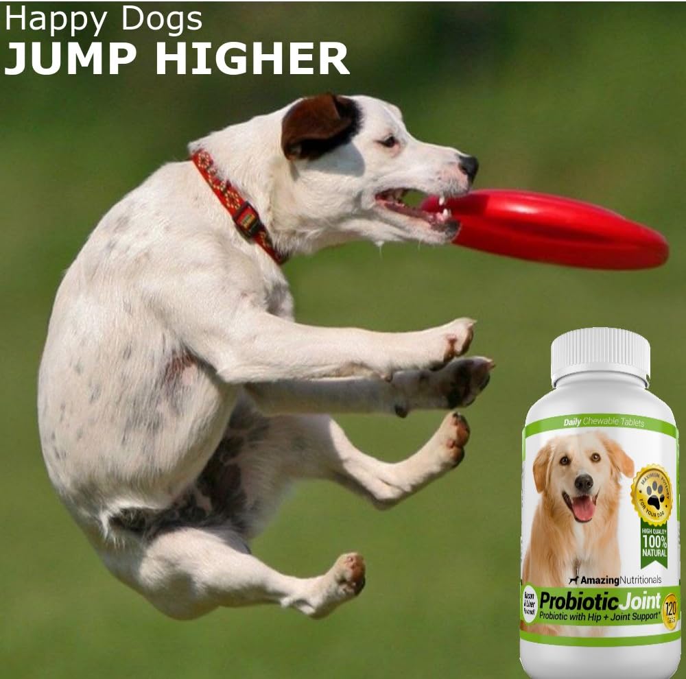 Premium Probiotic and Joint Support Chews for Dogs - 120 Count - Relieves Diarrhea, Gas, and Hip Joint Pain