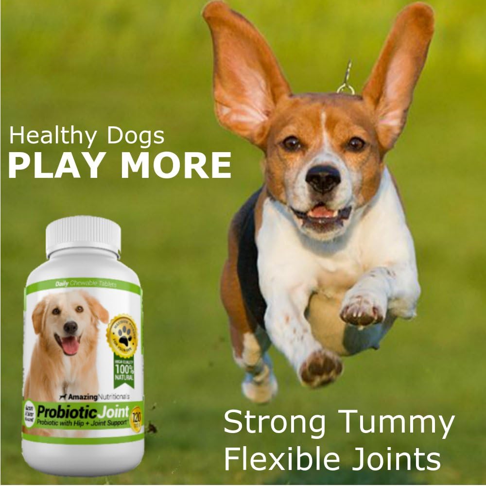 Premium Probiotic and Joint Support Chews for Dogs - 120 Count - Relieves Diarrhea, Gas, and Hip Joint Pain