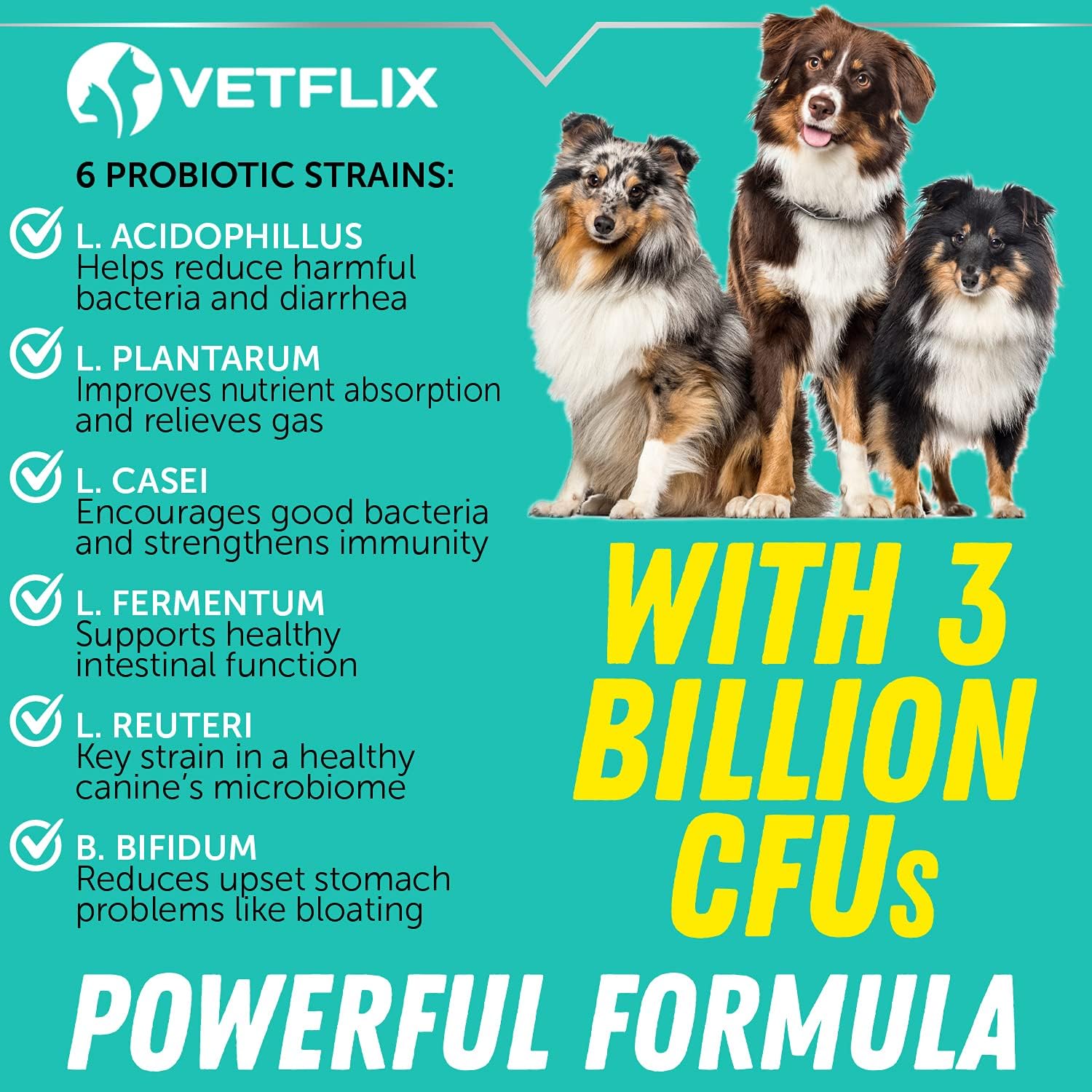 Premium Probiotics for Dogs & Cats with Digestive Enzymes & Prebiotics - Relieves Diarrhea, Vomiting, Gas, & Bad Breath - Supports Healthy Digestion