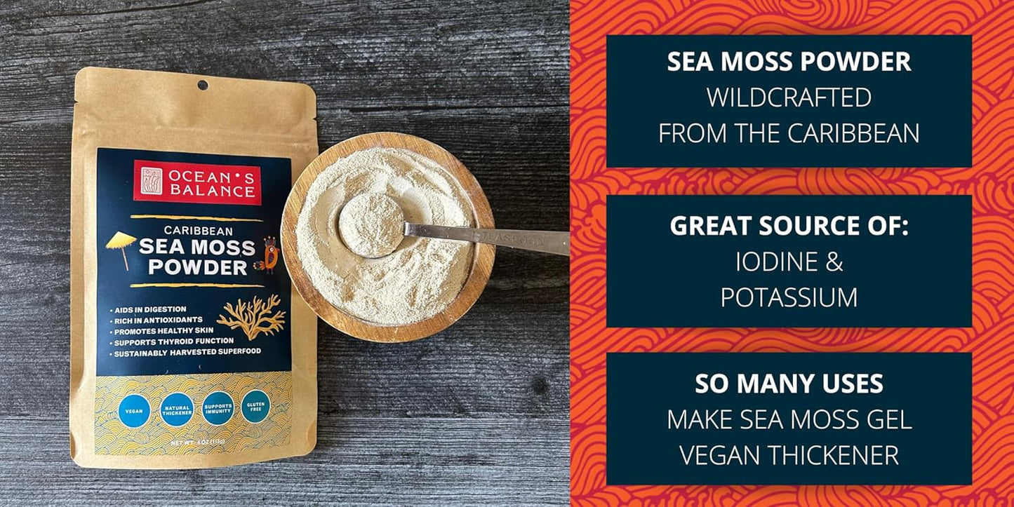 Premium Quality 4oz Maine Sea Moss Powder - Raw & Wildcrafted - Supports Detox, Digestive Health, Immune System, Skin & Hair - Ocean's Balance