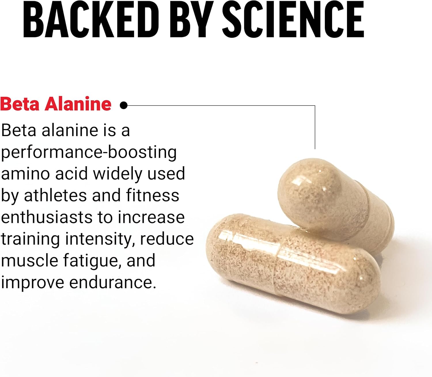 Premium Quality Vegan Beta-Alanine Capsules for Endurance & Performance Boost, Reduce Fatigue, Clinical Dose, Non-GMO - 120 Capsules
