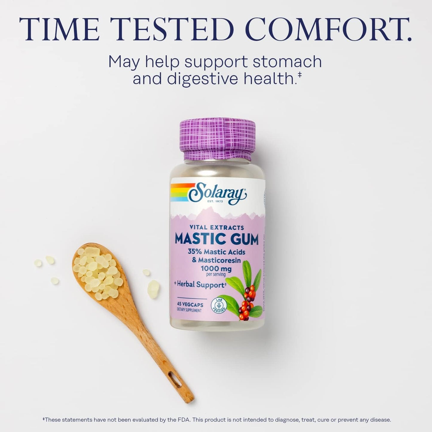 Premium Solaray Mastic Gum Extract Capsules 500mg - 45 Count