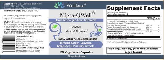 Premium Vegan Turmeric Boswellia Ginger Complex for Head & Body Wellness | 5-in-1 Botanical Support | Professional-Grade Formula with Third-Party Testing (30 Capsules)