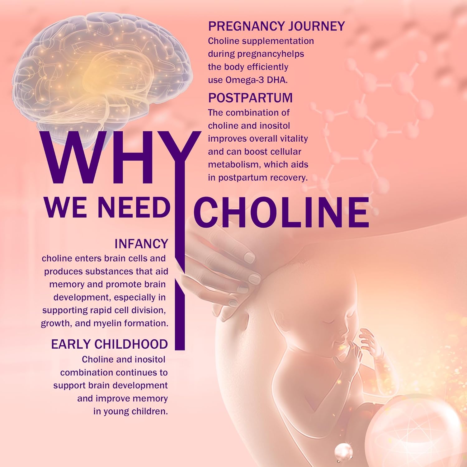 Prenatal Choline Supplement with Inositol, B1, B6 - Supports Brain Development in Utero & Early Life - 30 Day Supply