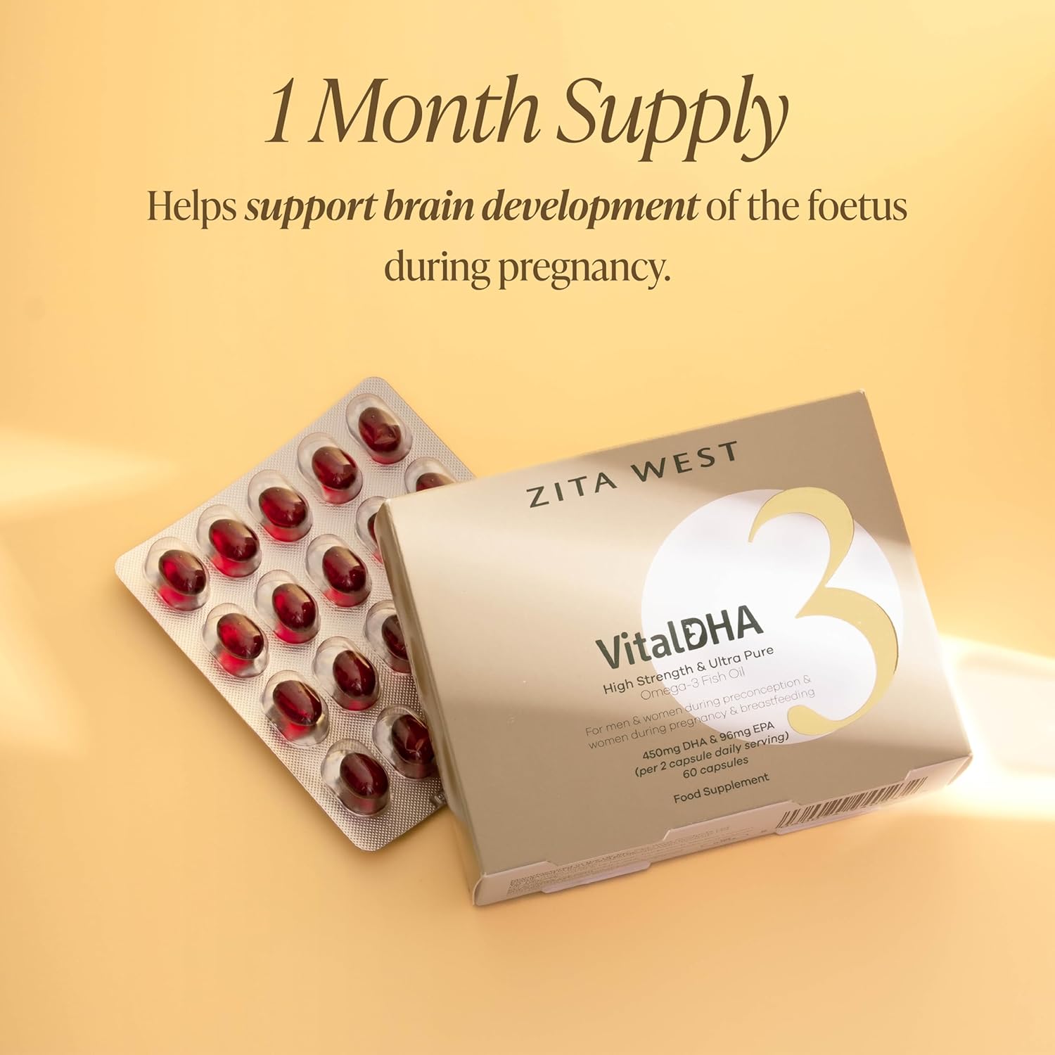 Prenatal DHA and EPA Supplement with Zinc for Fertility, Pregnancy, and Breastfeeding - Omega 3 for Brain Development - 60 Capsules
