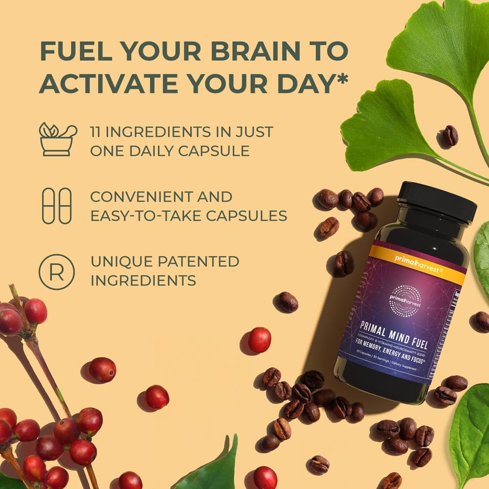 Primal Harvest 2 Pack Brain Booster for Focus, Energy, Clarity, Memory - Nootropic Supplement for Men and Women - 30 Capsules