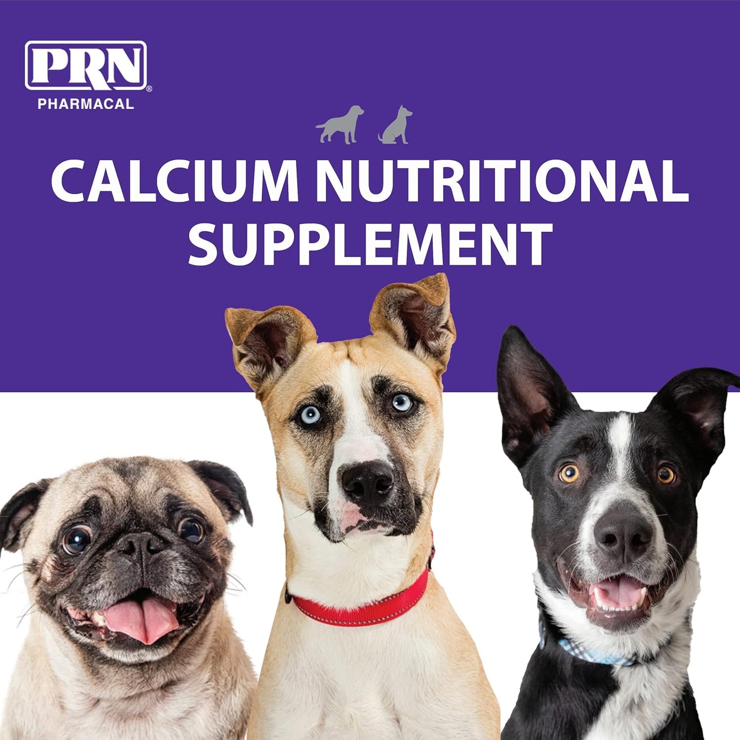 PRN Pharmacal Calsorb Calcium Gel Supplement for Dogs - Easy-to-Use Syringe - 12 mL (3 Pack)