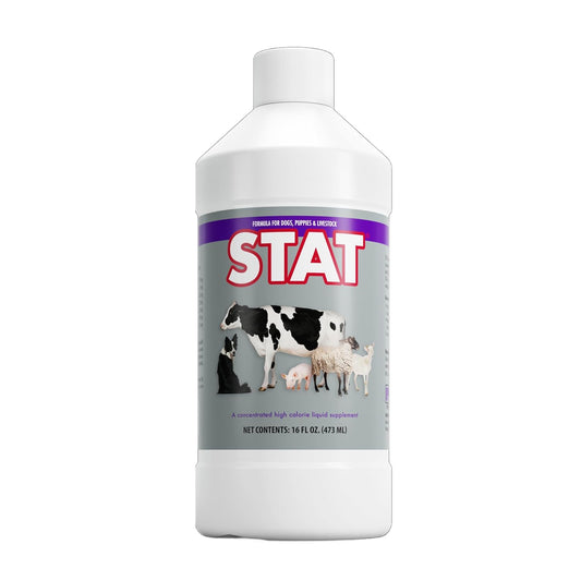 PRN Pharmacal STAT High Calorie Nutritional Supplement for Animals - Vanilla Flavored - 16oz Bottle with Vitamins A, D3, C, E & More