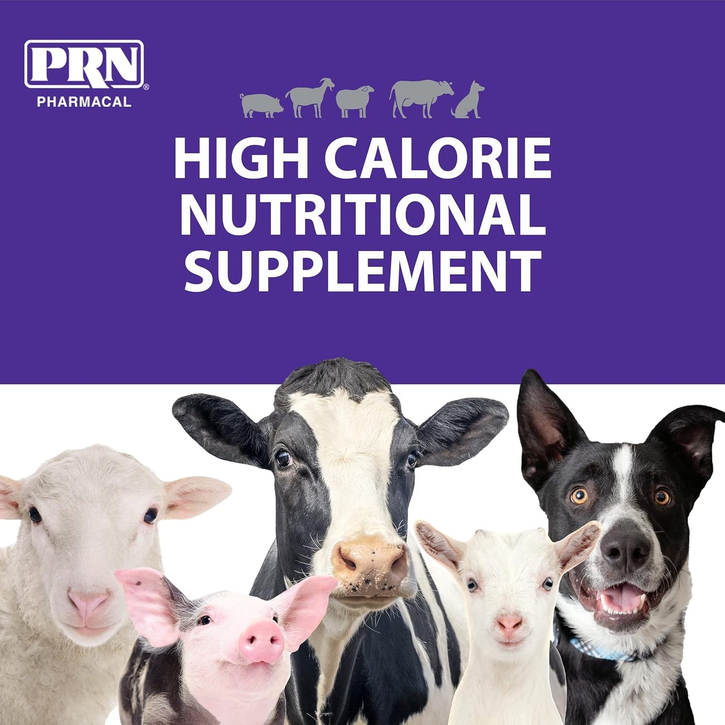 PRN Pharmacal STAT High Calorie Nutritional Supplement for Animals - Vanilla Flavored - 16oz Bottle with Vitamins A, D3, C, E & More