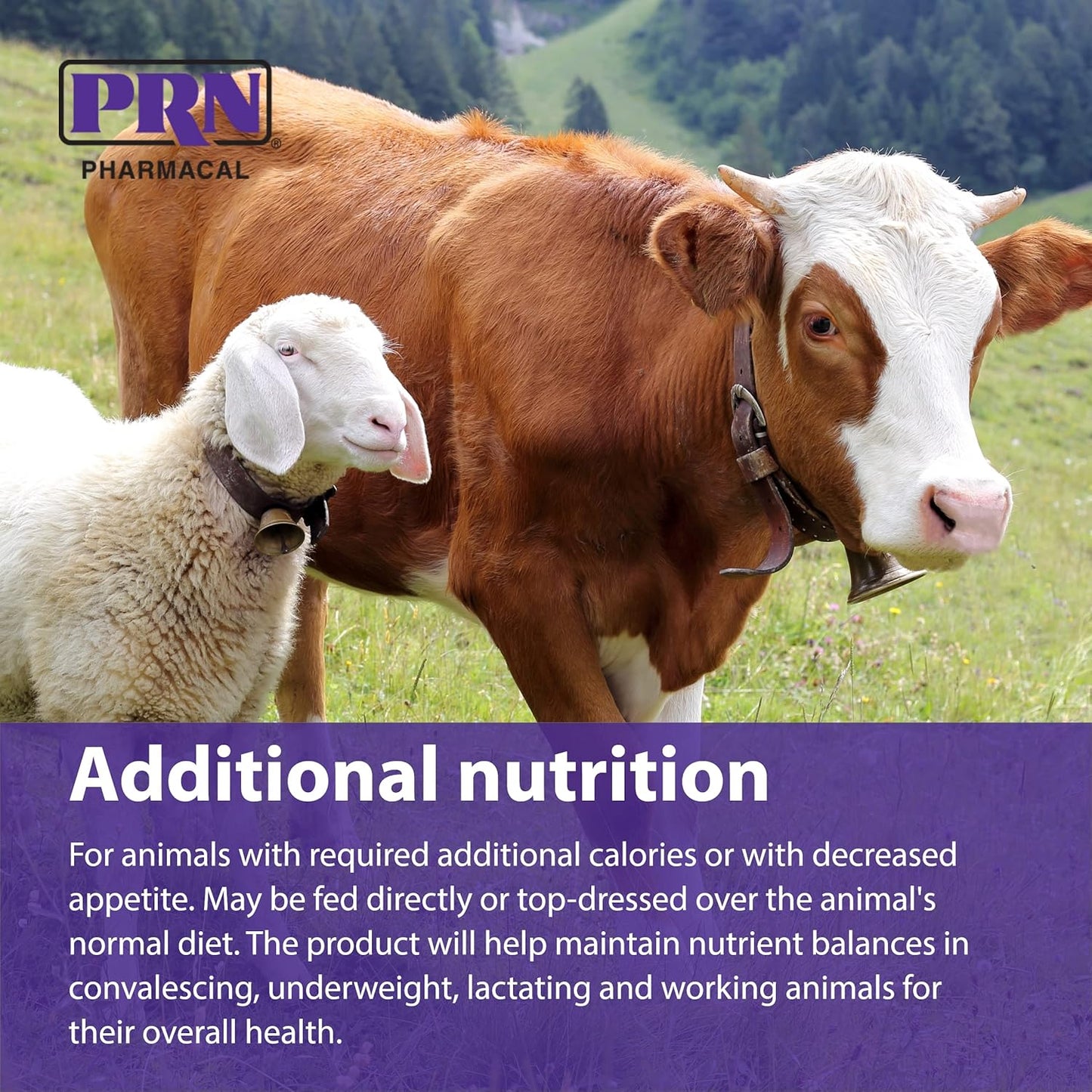 PRN Pharmacal STAT High Calorie Nutritional Supplement for Animals - Vanilla Flavored - 16oz Bottle with Vitamins A, D3, C, E & More