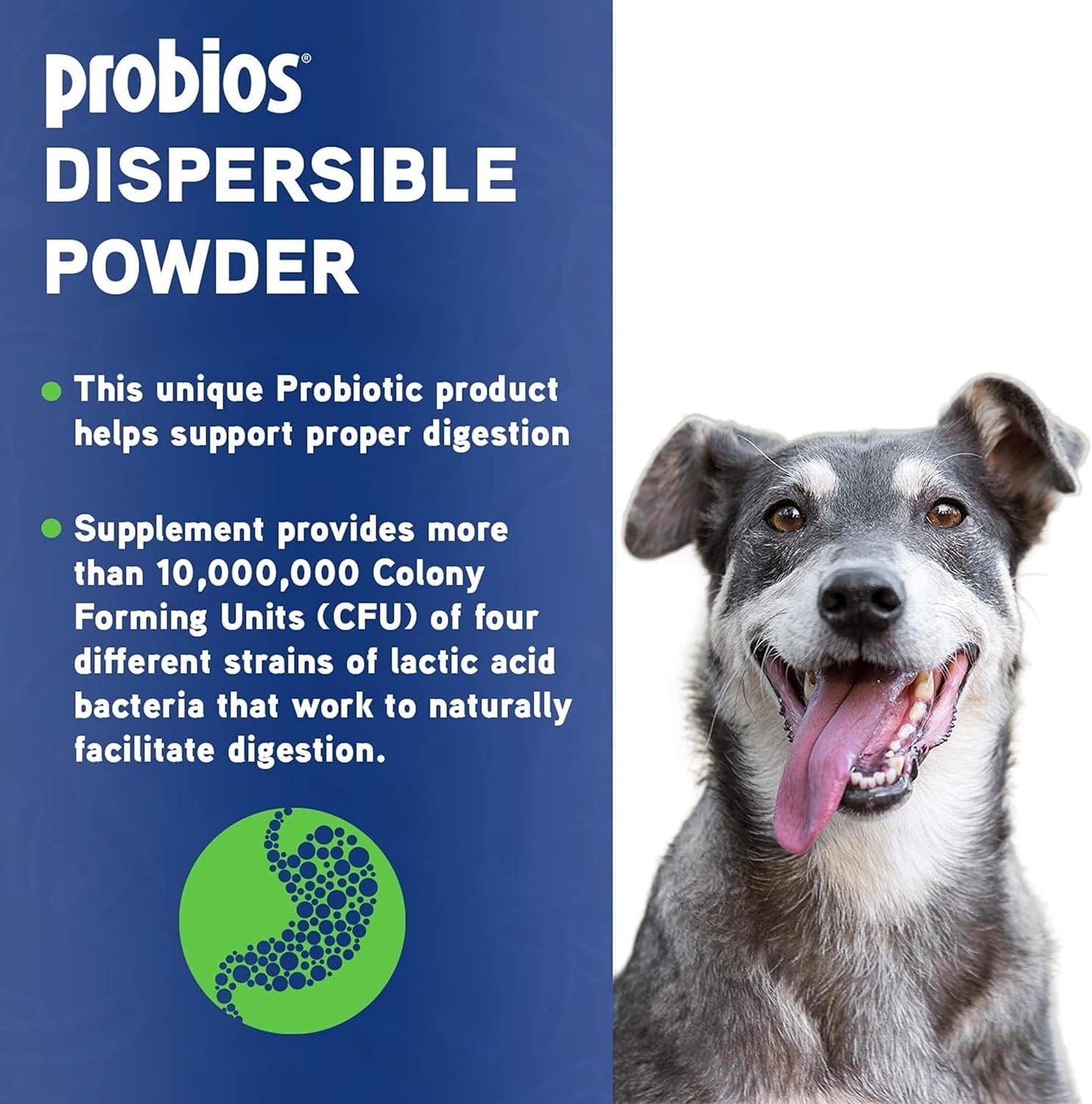 Probios Vet Plus Digestive Powder - 240gm, Easy to Disperse