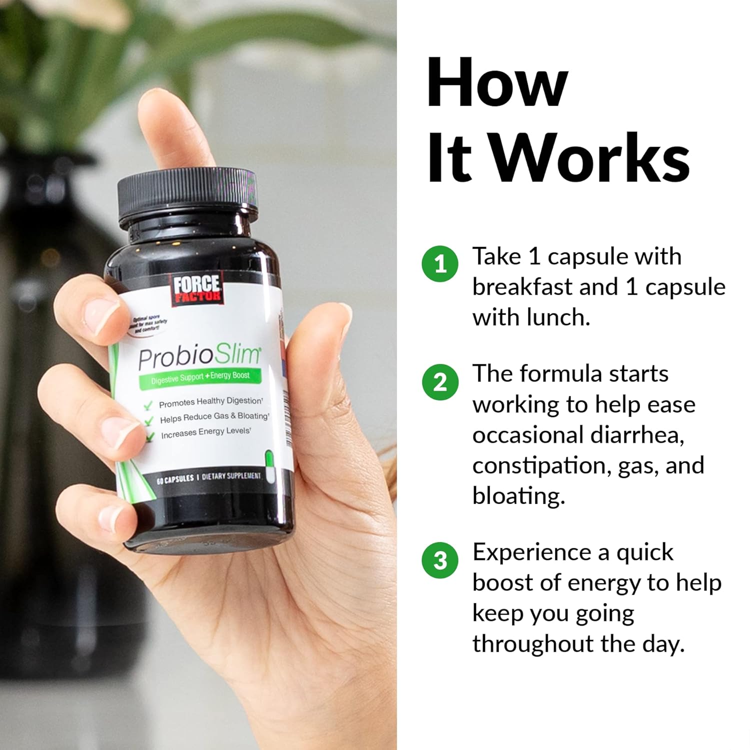 ProbioSlim 2-Pack Probiotic Supplement with Green Tea Extract for Digestive Health, Reduce Gas & Bloating, 60 Capsules