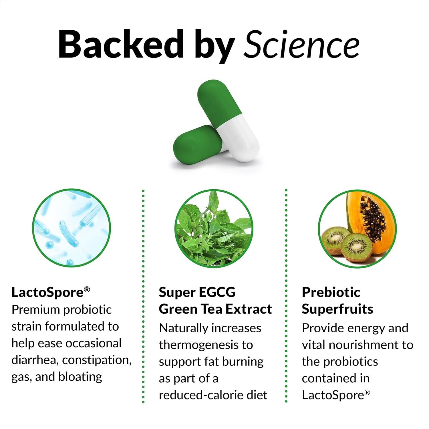 ProbioSlim Probiotic Capsules with Prebiotics and Green Tea for Digestive Health and Energy Support, 60 Count