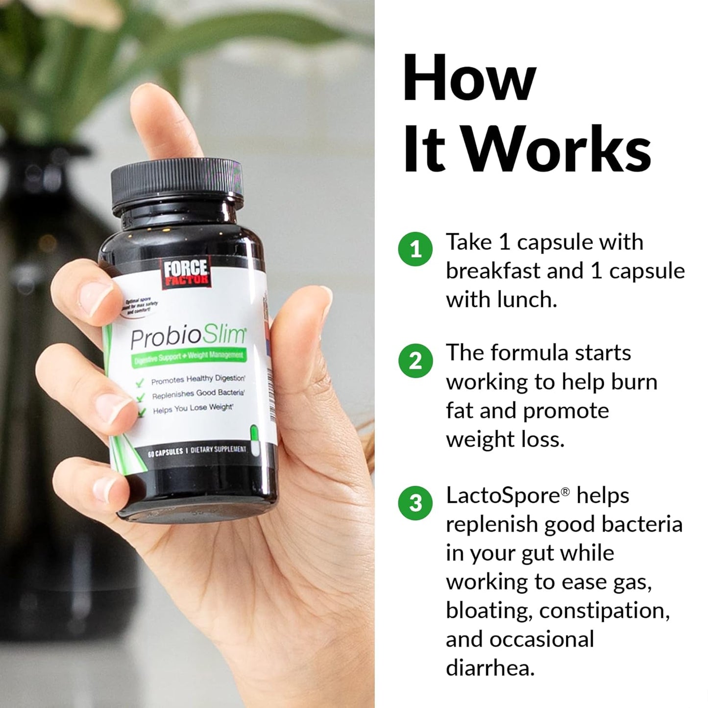 ProbioSlim Probiotic Capsules with Prebiotics and Green Tea for Digestive Health and Energy Support, 60 Count