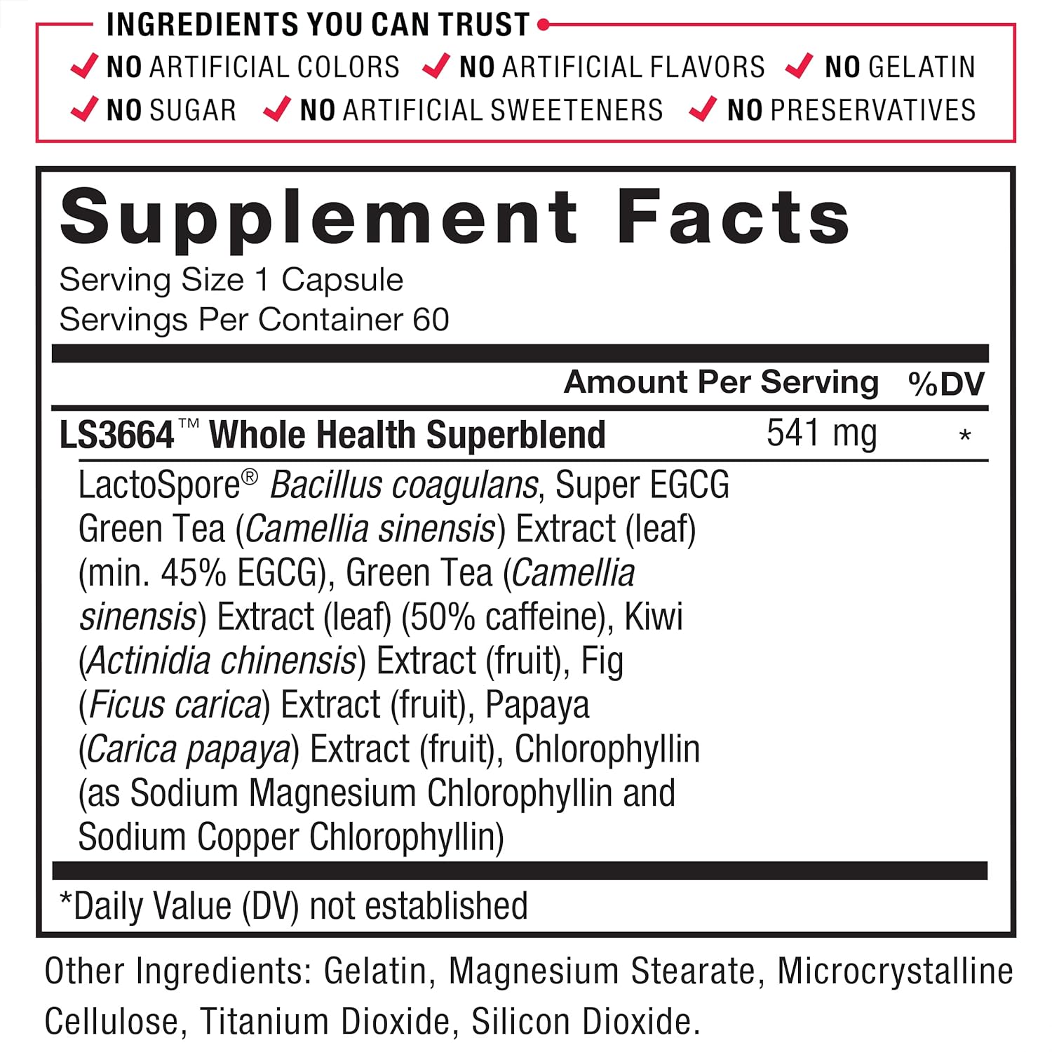 ProbioSlim Probiotic Capsules with Prebiotics and Green Tea for Digestive Health and Energy Support, 60 Count