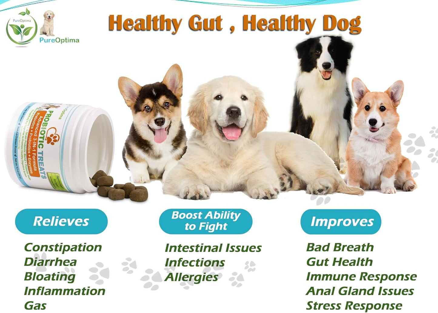 Probiotic Chews for Dogs with Digestive Enzymes and Prebiotics, Improve Digestion and Immunity - 120 Count