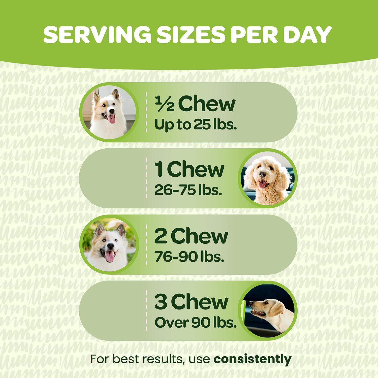 Probiotic Chews for Dogs with Pumpkin & Digestive Enzymes | Supports Gut Health & Digestion | NASC Certified | Made in USA | 60 Chews