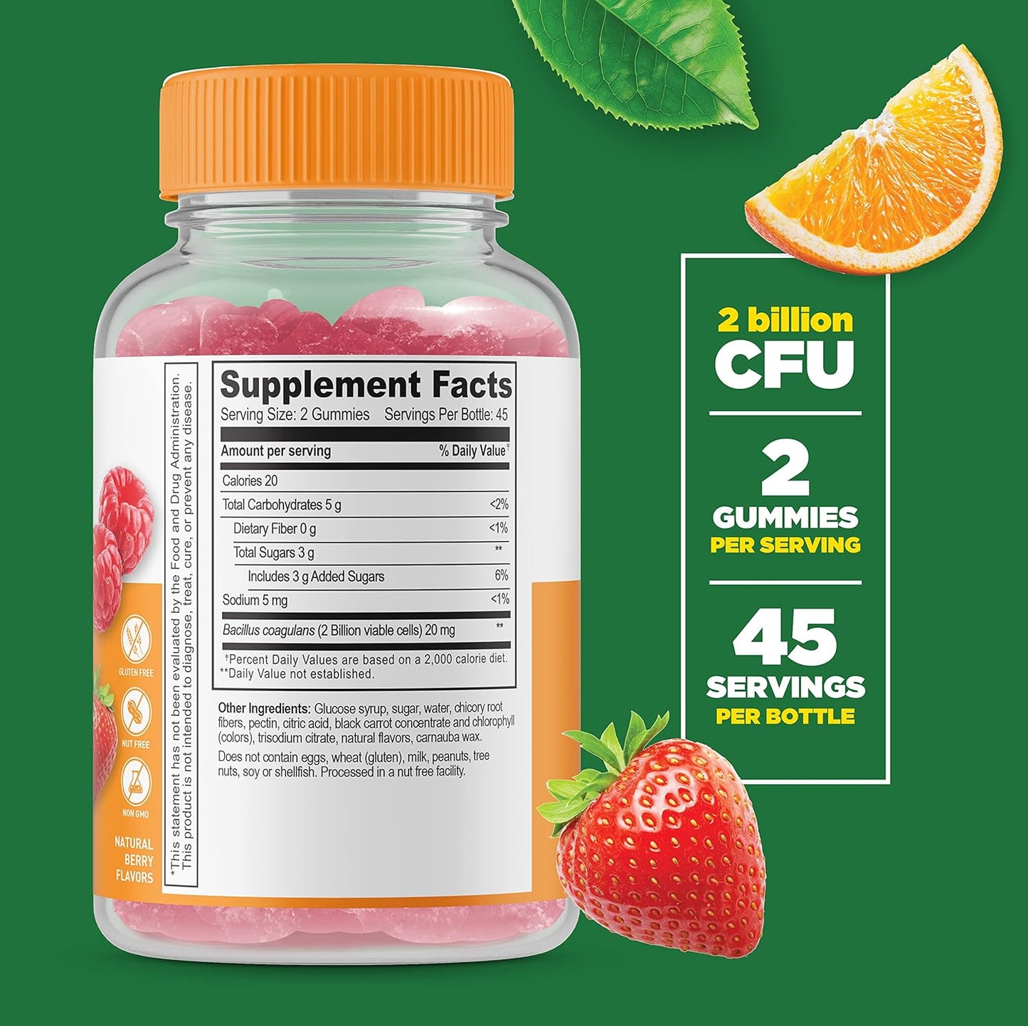 Probiotic Gummies Bundle with Calcium, Magnesium, Zinc & Vitamin D - 2 Billion CFU - Gluten Free Chewables