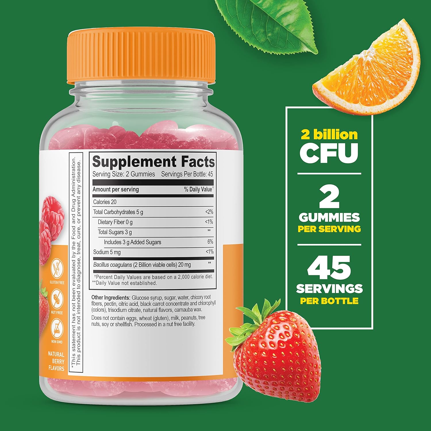 Probiotic Gummies Bundle with Calcium, Magnesium, Zinc & Vitamin D - 2 Billion CFU - Gluten Free Chewables