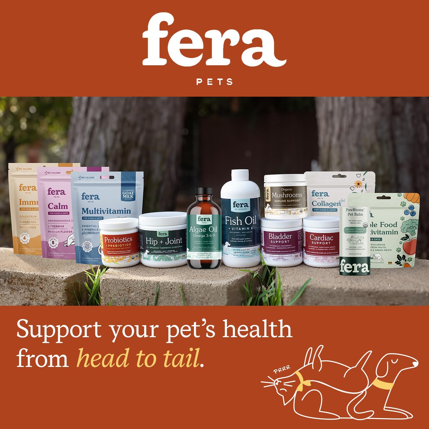 Probiotic Supplement for Dogs & Cats - Vet Formulated with 12 Strains & Prebiotics - Supports Pet Digestion - 60 Scoops