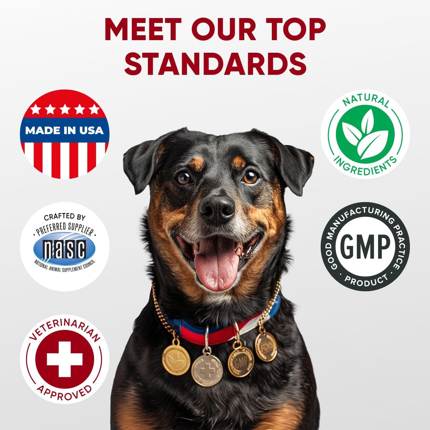 Probiotics and Enzymes Chewables for Dogs - Supports Immune System & Gut Health - Soft Treats for All Breeds - Contains Flaxseed
