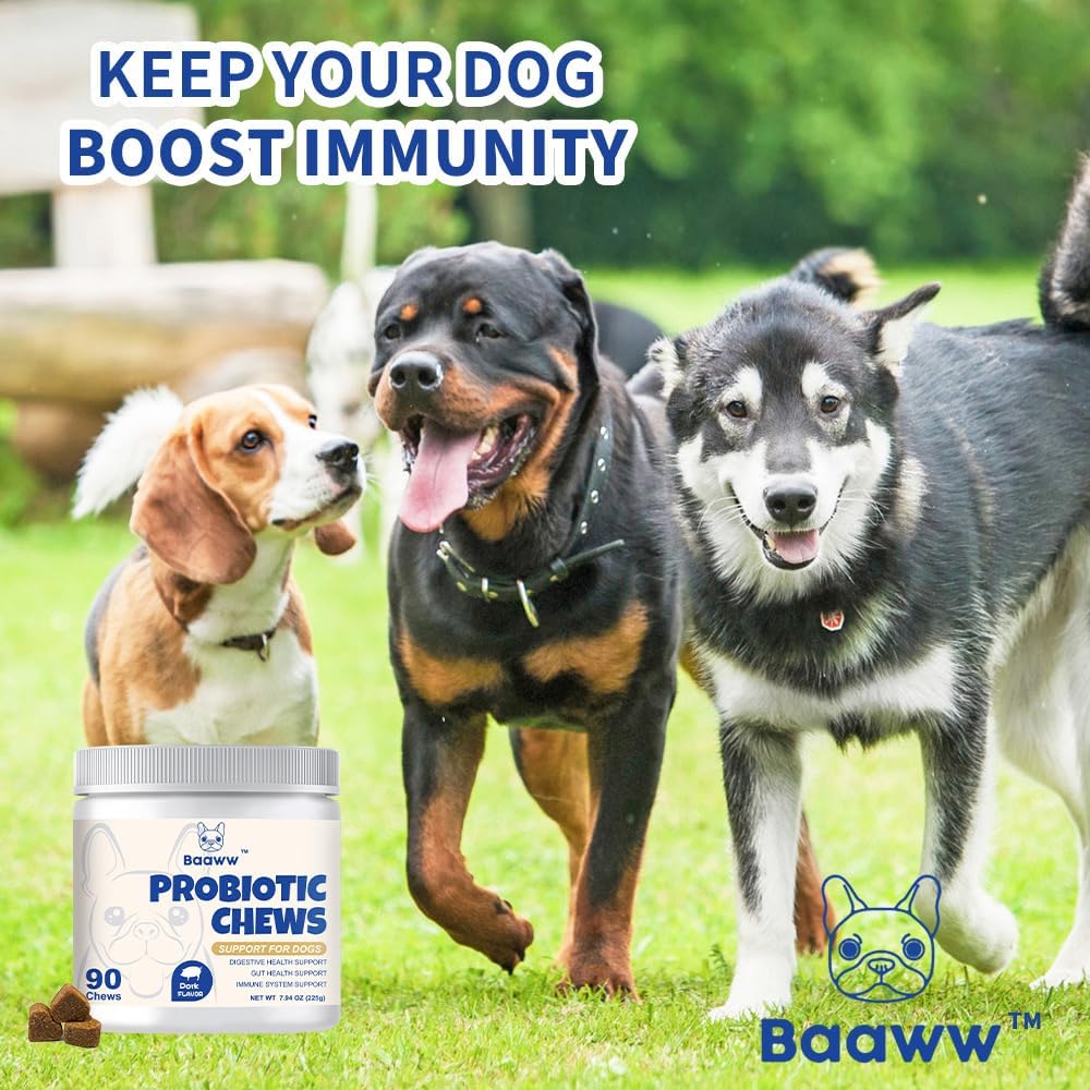 Probiotics for Dogs: Itchy Skin Relief, Gut Health, Allergy Support, Immunity Boost - Digestive Enzymes with Prebiotics, 90 Pork Chews