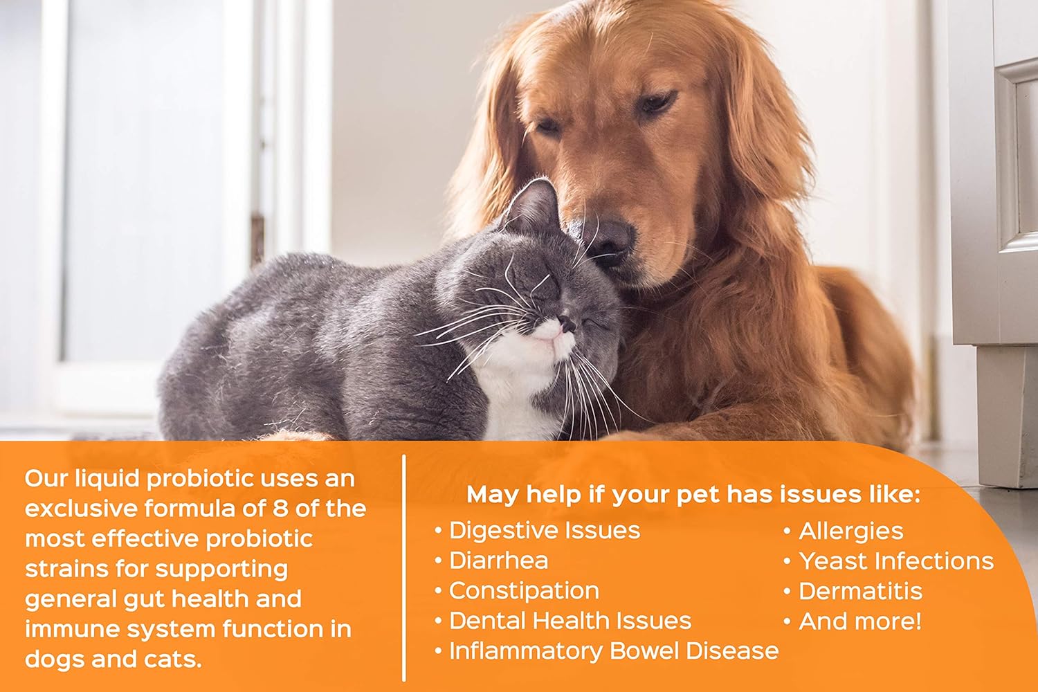 Probonix Cat Probiotic Drops - 8-Strain Formula for Gut and Dental Health - 45 Billion CFUs - 40-Day Supply - Liver Flavor
