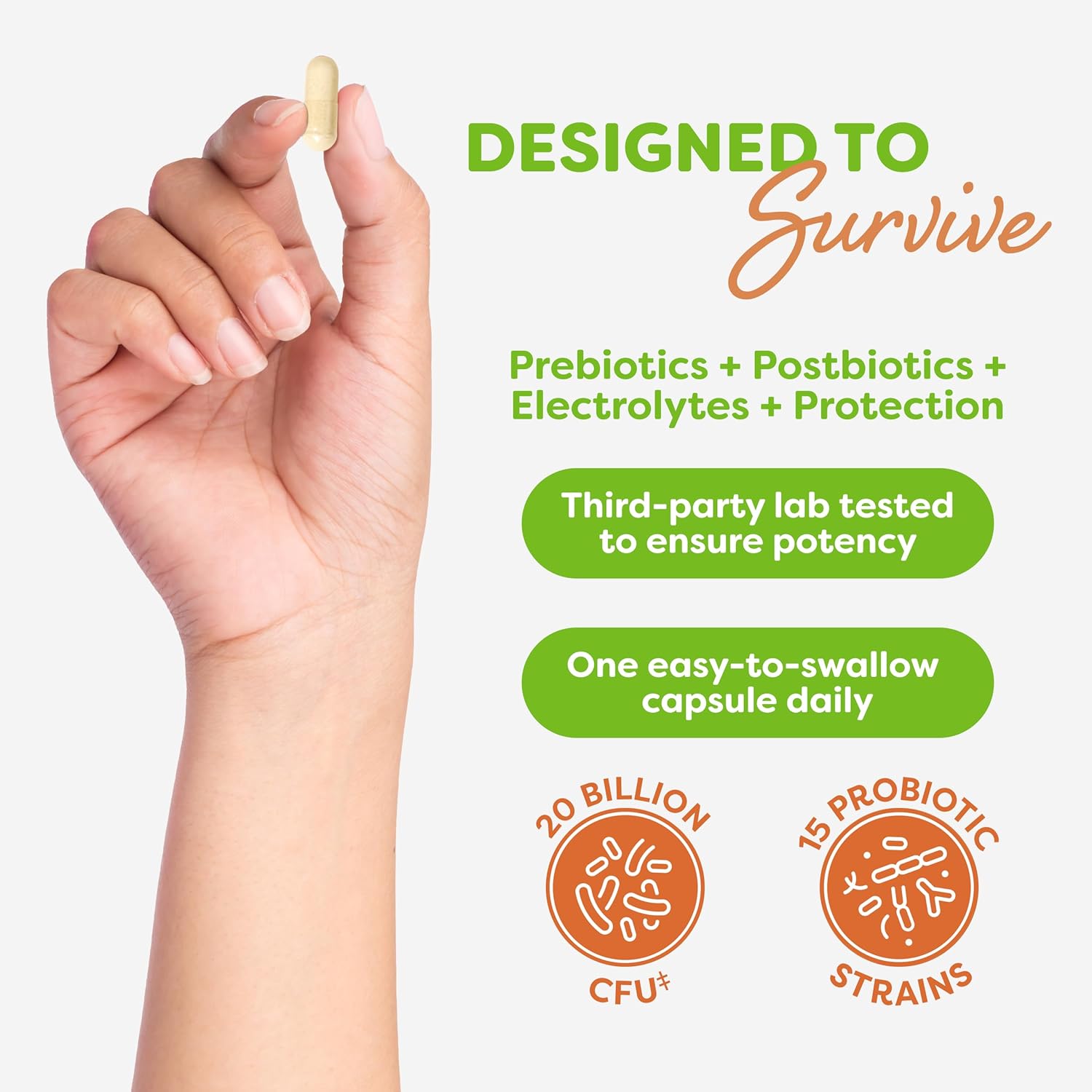 Probulin Total Care Probiotic Supplement for Daily Gut, Digestive, and Immune Health - 20 Billion CFU, Vegan Capsules (60 Count)