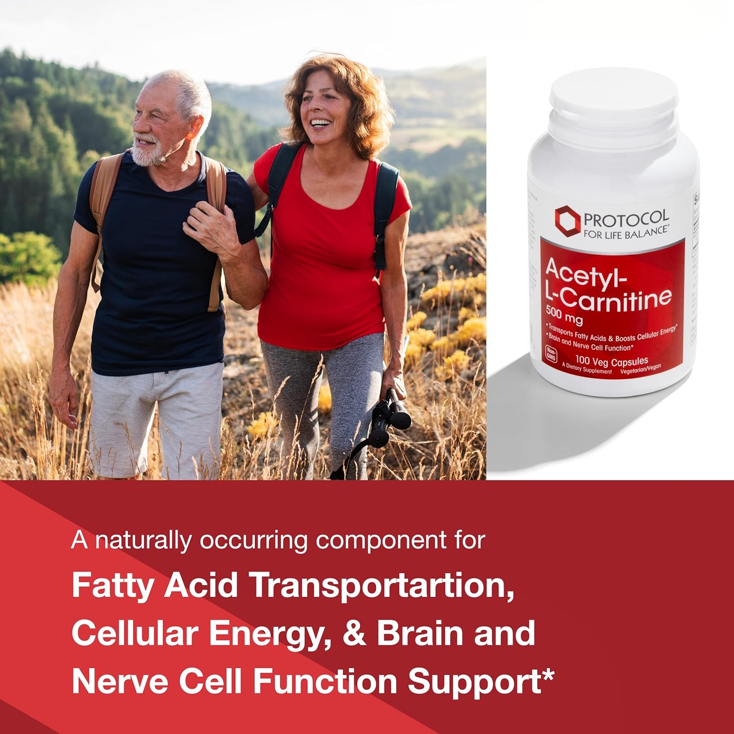 Protocol Acetyl-L-Carnitine 500mg Capsules for Energy, Nerve, and Brain Support - 100 Count Vegan Capsules