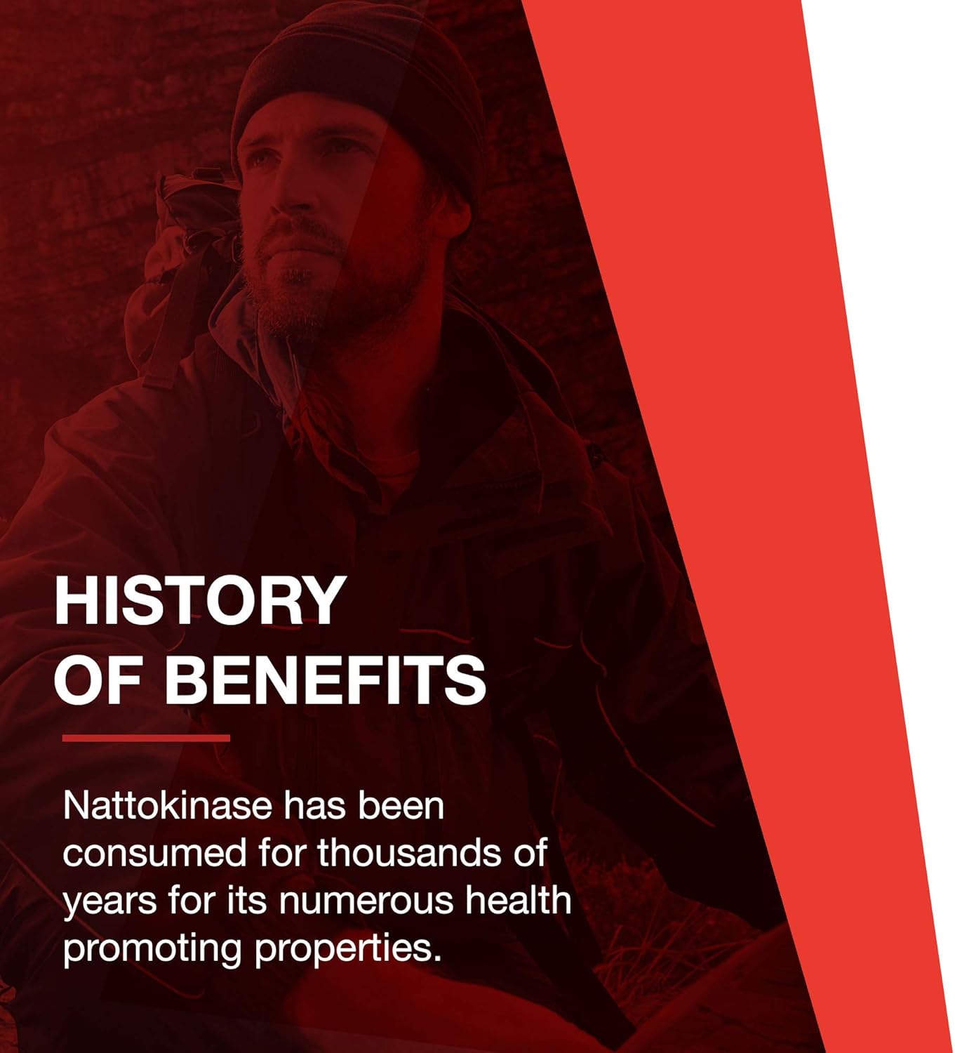 Protocol Nattokinase Supplement 100mg - Heart Health & Blood Circulation - Kosher & Dairy Free - 60 Veg Capsules