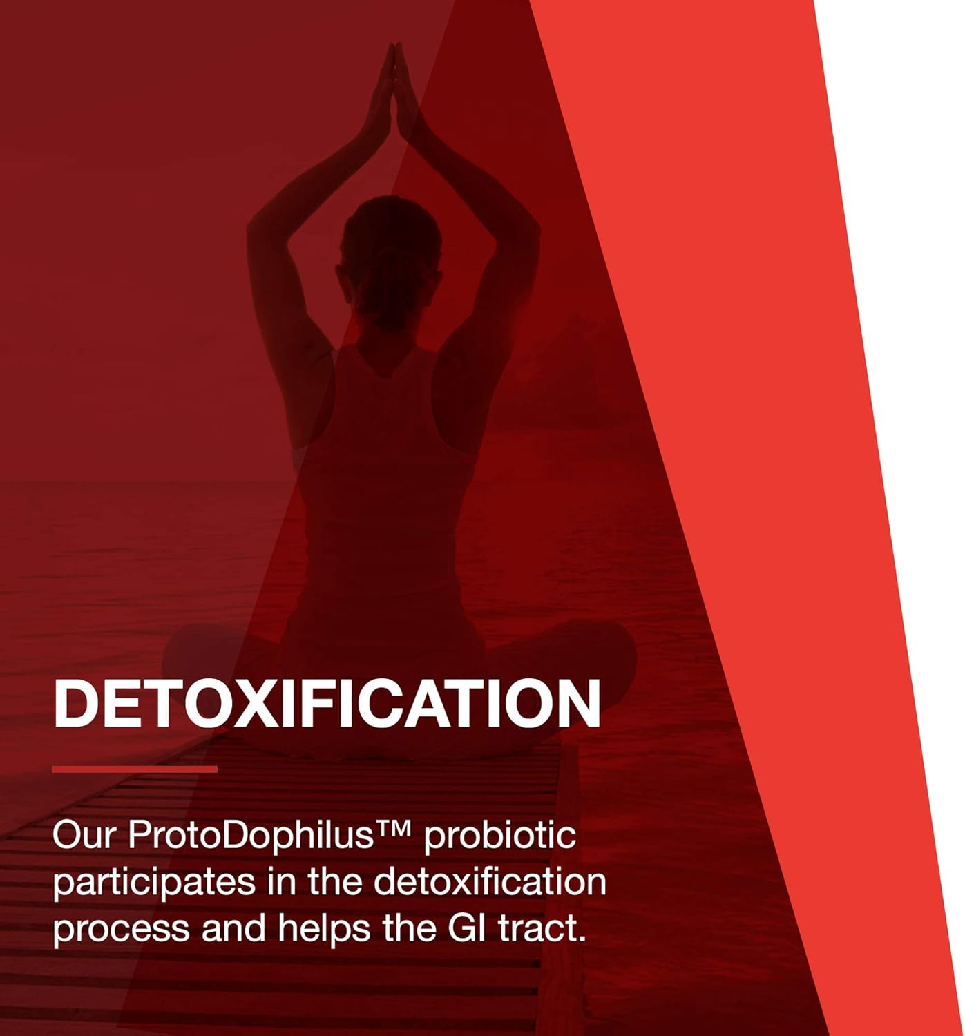 ProtoDophilus - 50 Billion CFU Probiotic Supplement for Digestive and Immune Health - 10 Strains, 50 Veg Capsules