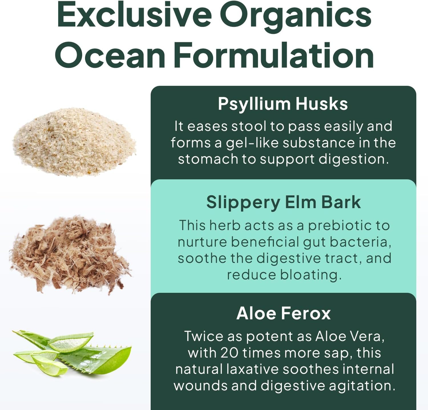 Psyllium and Slippery Elm Daily Fiber Supplement for Smooth Bowel Movements - 3 Bottles of Organics Ocean Better Fiber