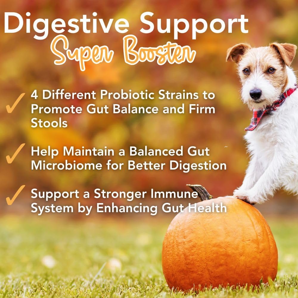 Pupkin Probiotics for Dogs with Pumpkin, Bone Broth & Mushrooms - 30 Scoops