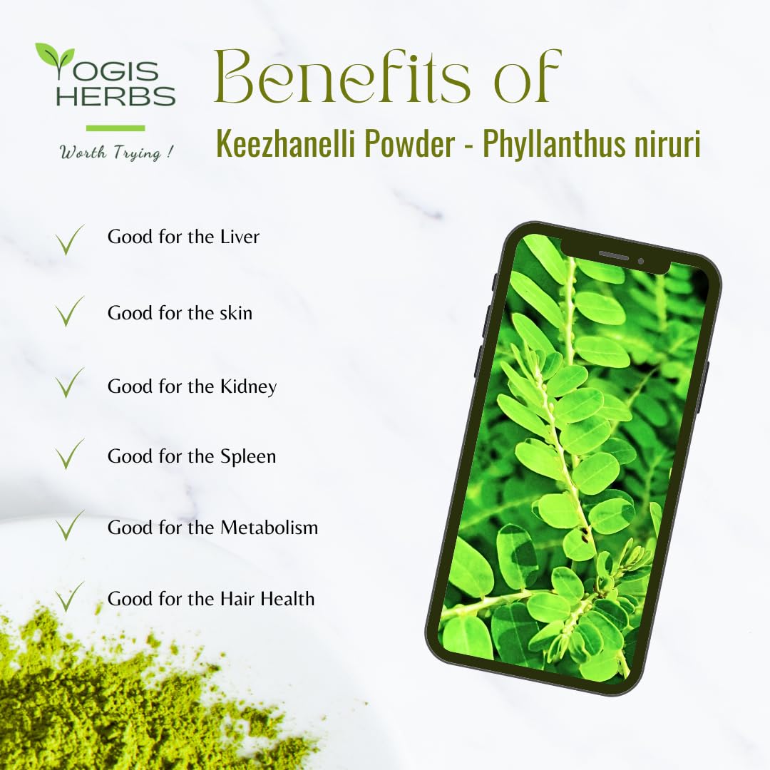 Pure and Fresh Keezhanelli Powder - Stone Breaker Herbal Supplement for Liver, Kidney, and Gallbladder Support - 3.5 oz.