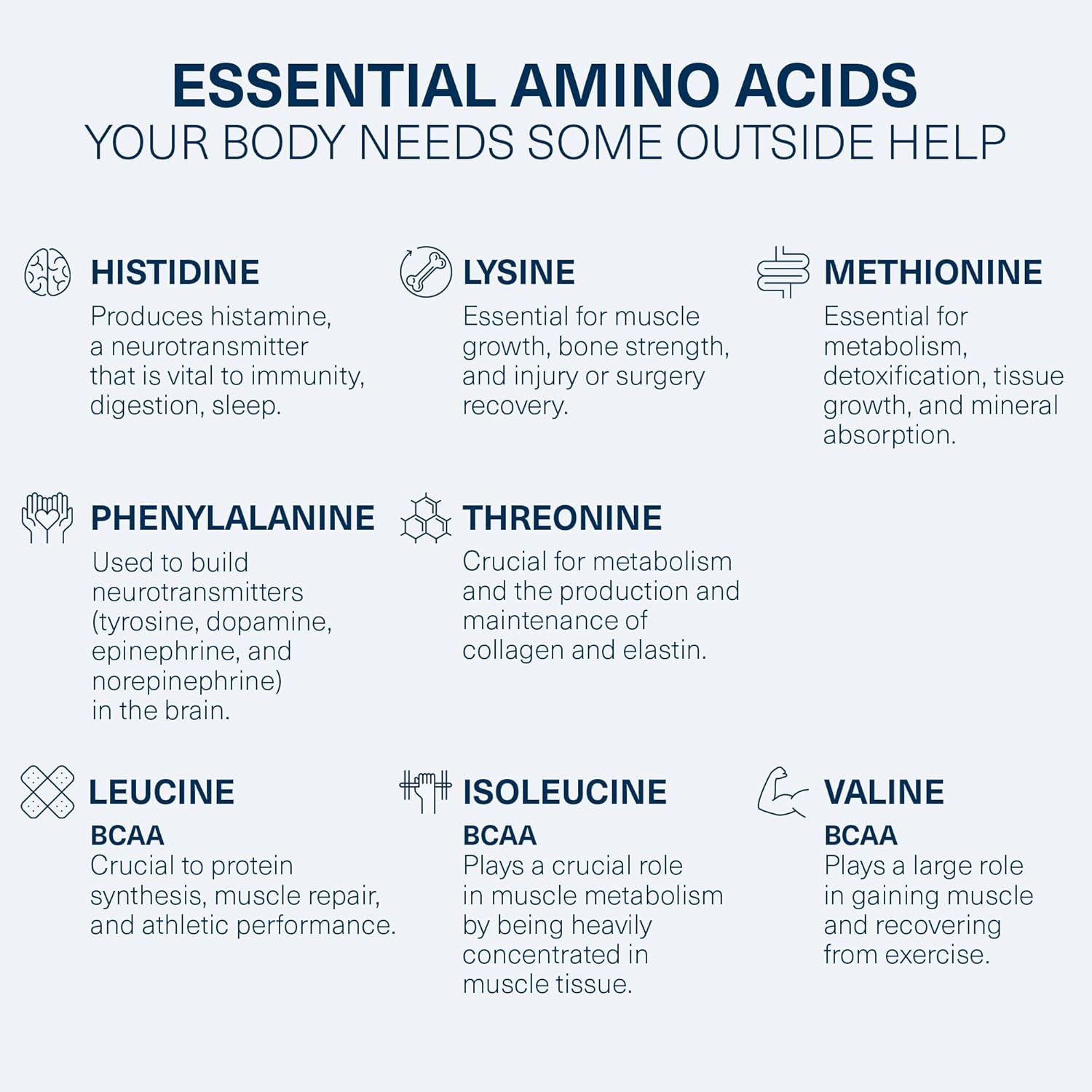 Pure EAA Amino Acids Pre Workout Powder Supplement for Energy - Grape Flavor (6.7 oz)