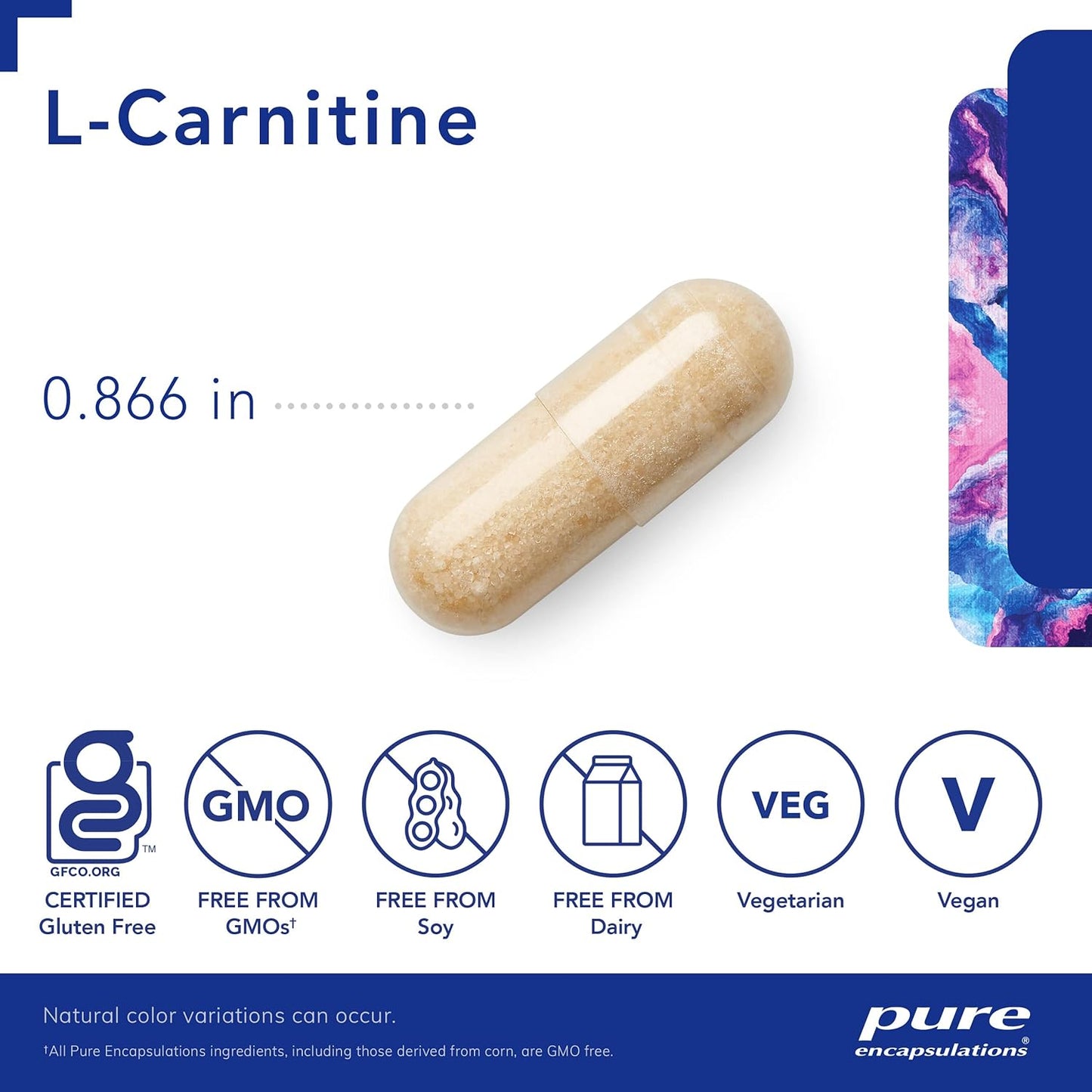 Pure Encapsulations L-Carnitine Supplement for Cardiovascular and Endurance Support - 120 Capsules