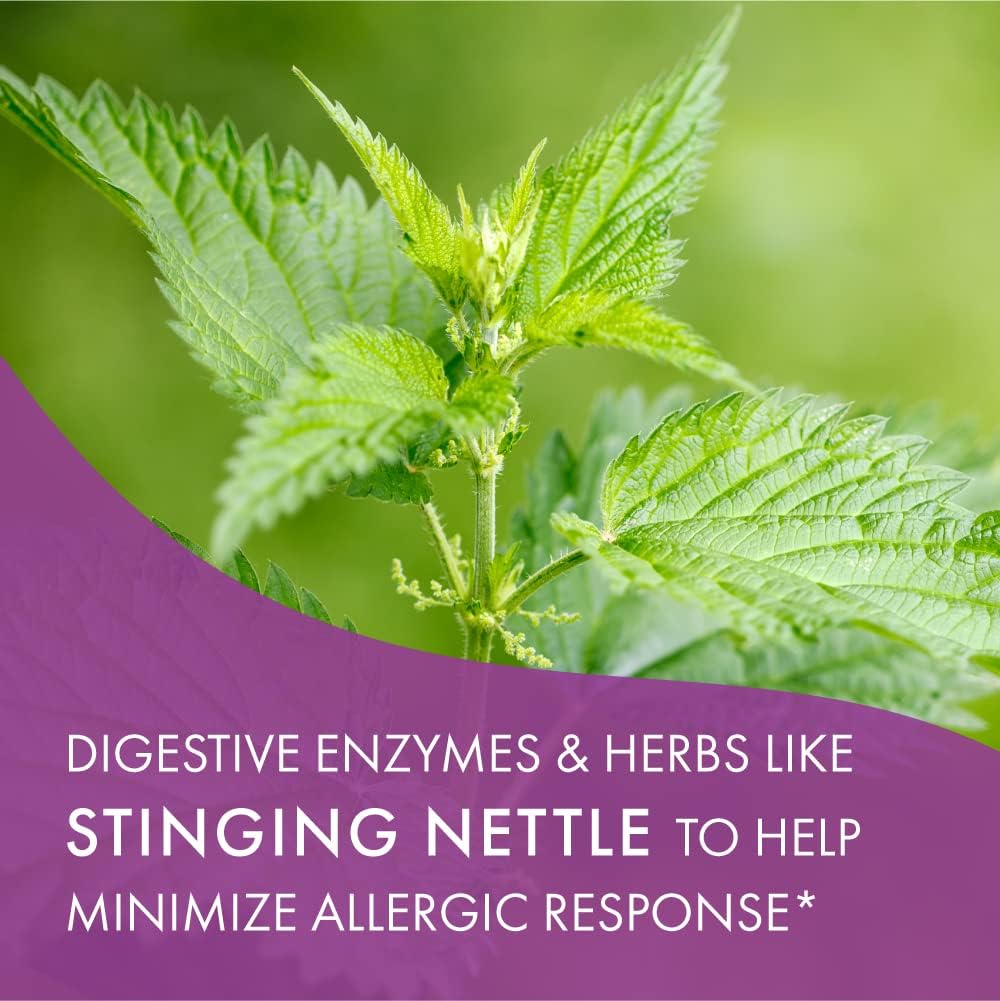 Pure Essence Labs AllerFree: Natural Non Drowsy Allergy Support for Seasonal Allergies - 60 Capsules with Enzymes and Herbs