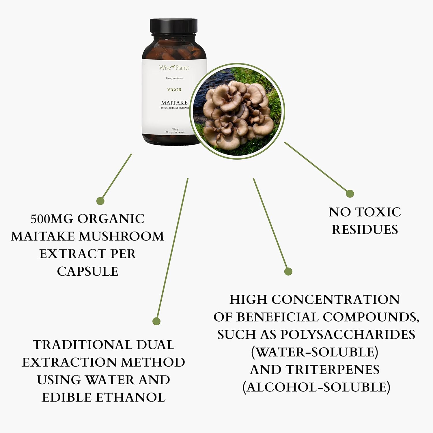 Pure Fruiting Body Maitake Mushroom Supplement - 30% Polysaccharides, 500mg, 120 Veggie Caps - Immune Function & Energy Boost