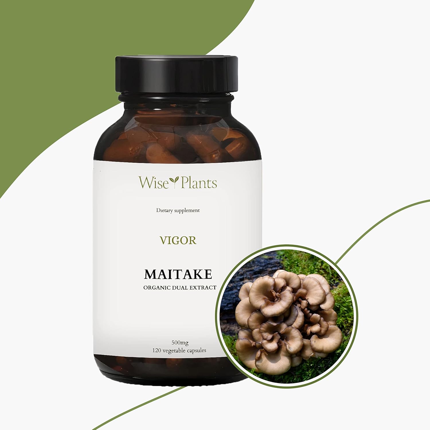 Pure Fruiting Body Maitake Mushroom Supplement - 30% Polysaccharides, 500mg, 120 Veggie Caps - Immune Function & Energy Boost