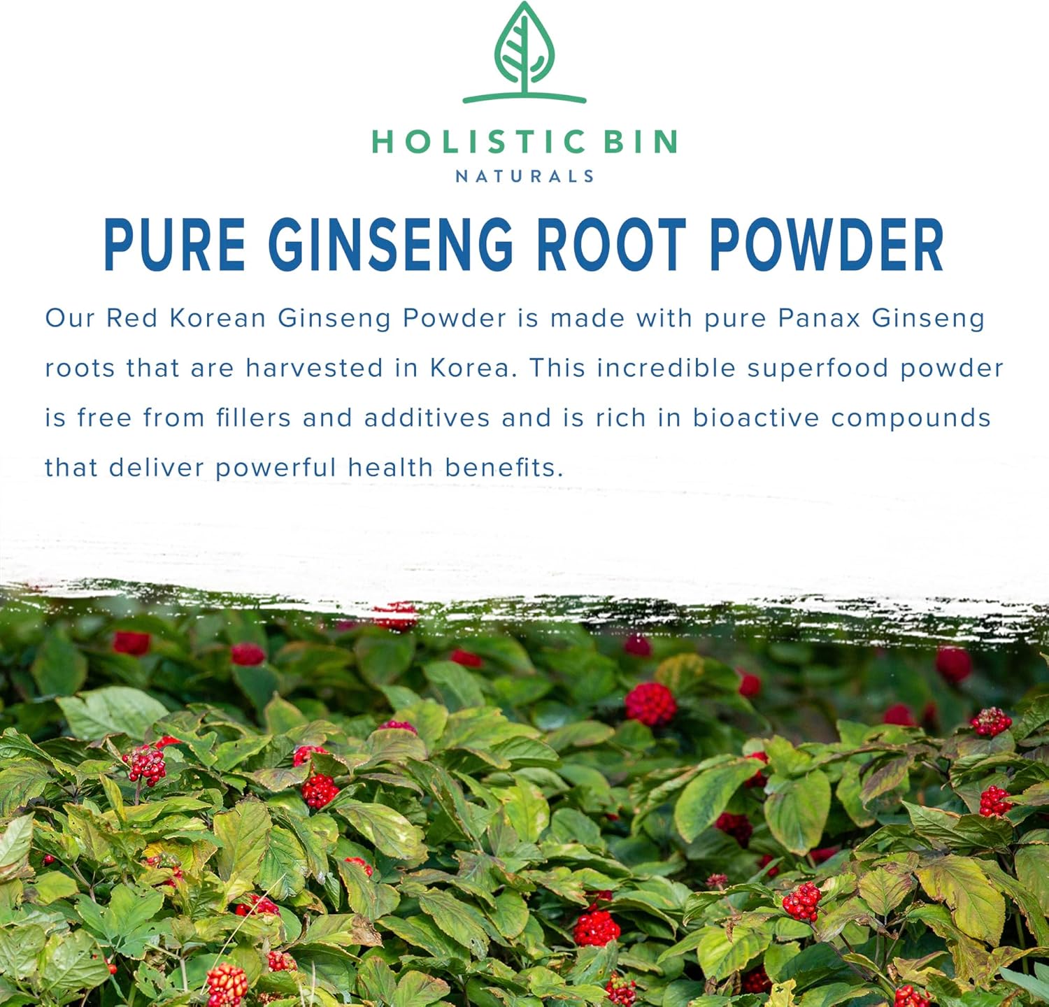 Pure Korean Red Ginseng Powder: Vegan, Gluten-Free Panax Ginseng Supplement | Non-GMO, No Fillers | Ginsenosides-Rich (50g)
