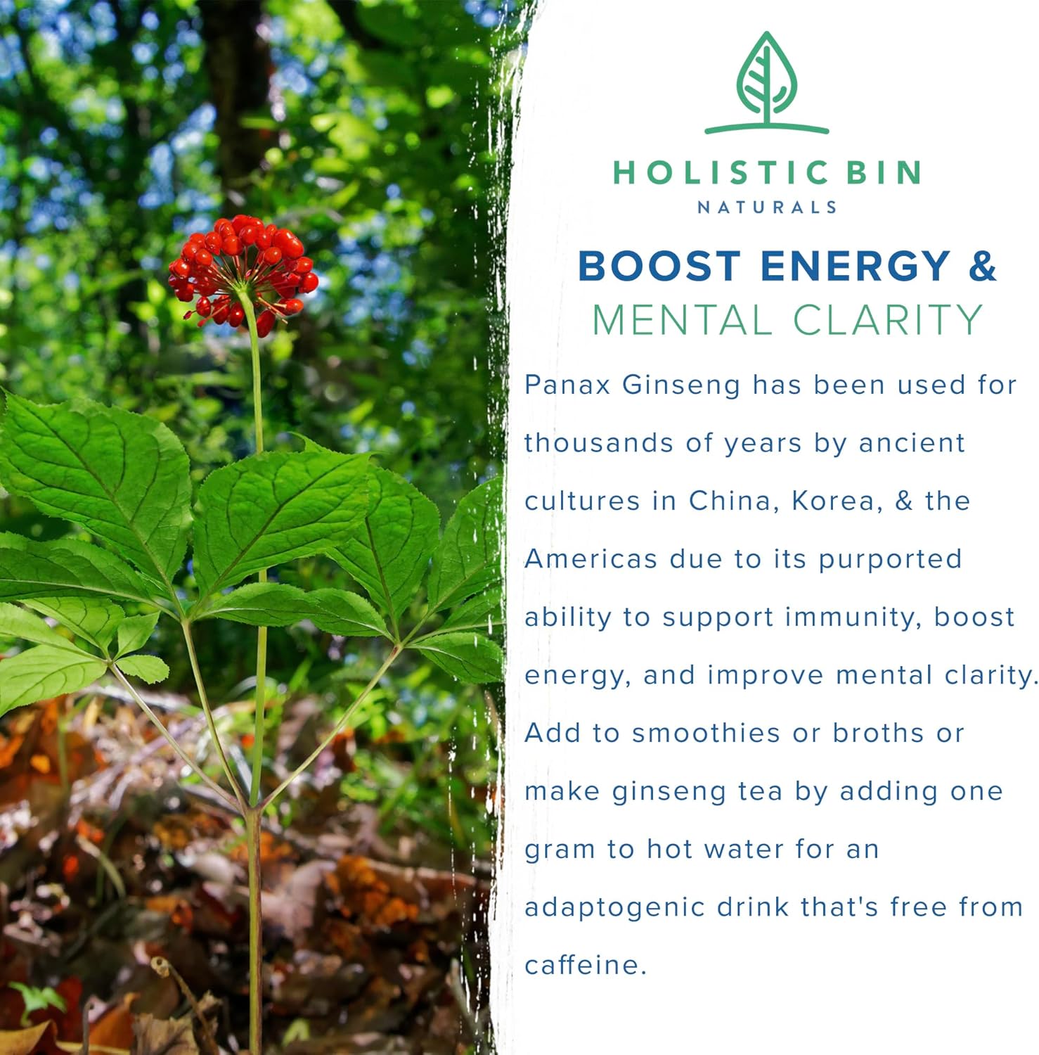 Pure Korean Red Ginseng Powder: Vegan, Gluten-Free Panax Ginseng Supplement | Non-GMO, No Fillers | Ginsenosides-Rich (50g)