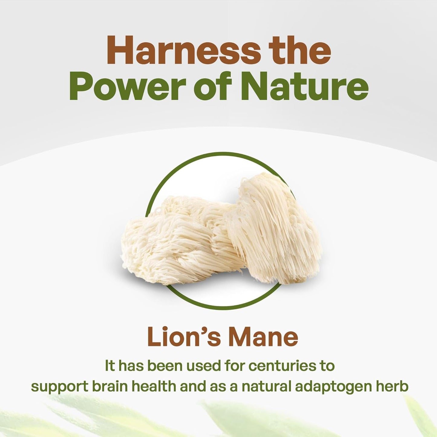 Pure Lion’s Mane Mushroom Powder 10:1 Extract, 30% Polysaccharides, Non-GMO Vegan Supplement for Tea, Juice, Water, 4 oz