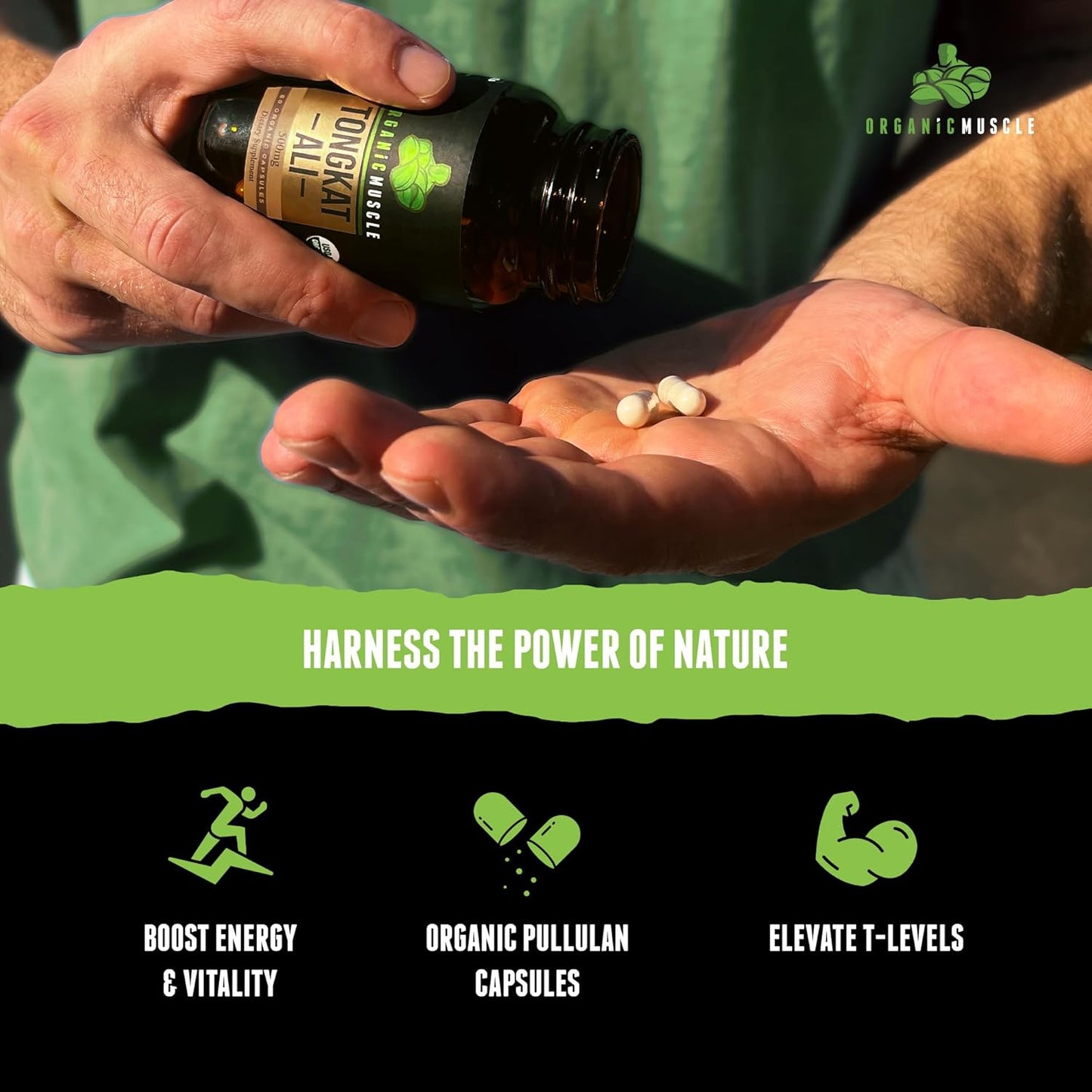 Pure Organic Tongkat Ali Root Supplement for Men - 500mg USDA Eurycoma Longifolia - Natural Male Performance & Hormone Support - 60 Count