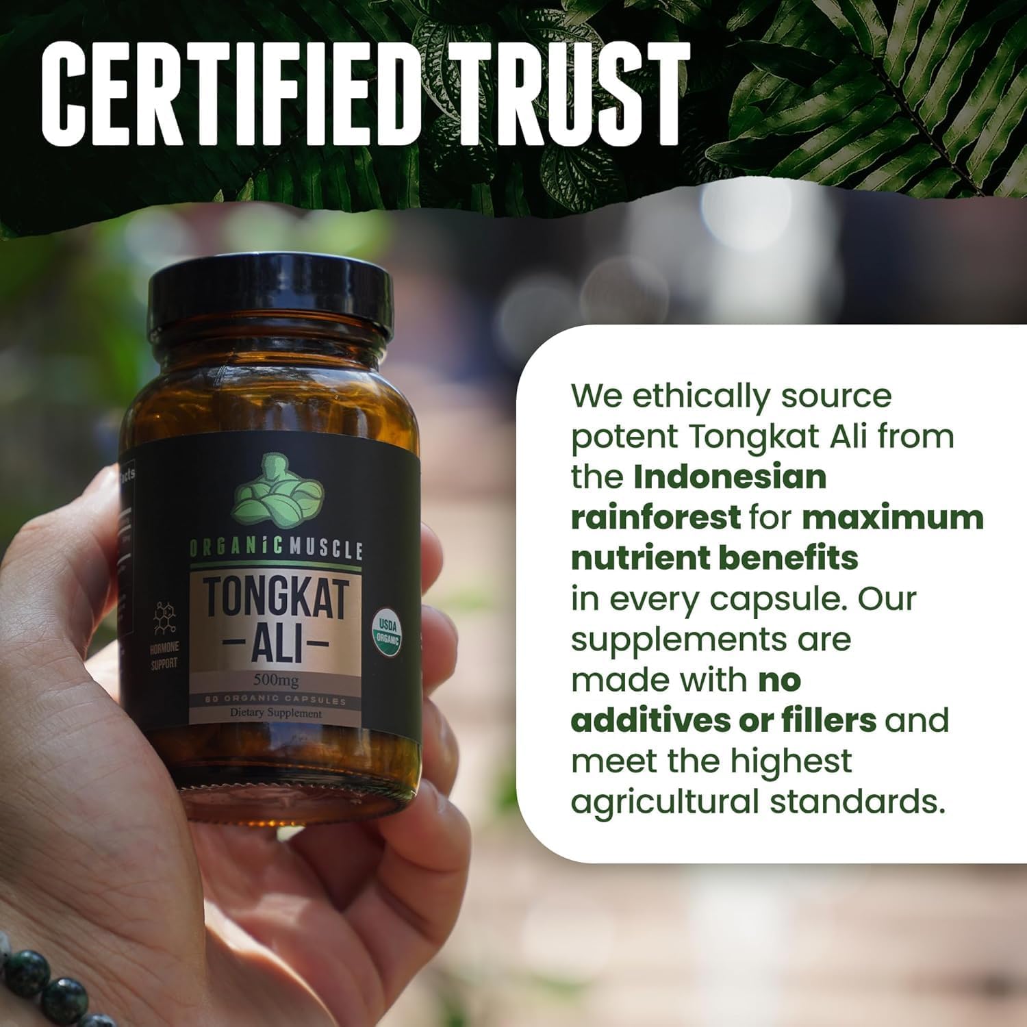 Pure Organic Tongkat Ali Root Supplement for Men - 500mg USDA Eurycoma Longifolia - Natural Male Performance & Hormone Support - 60 Count