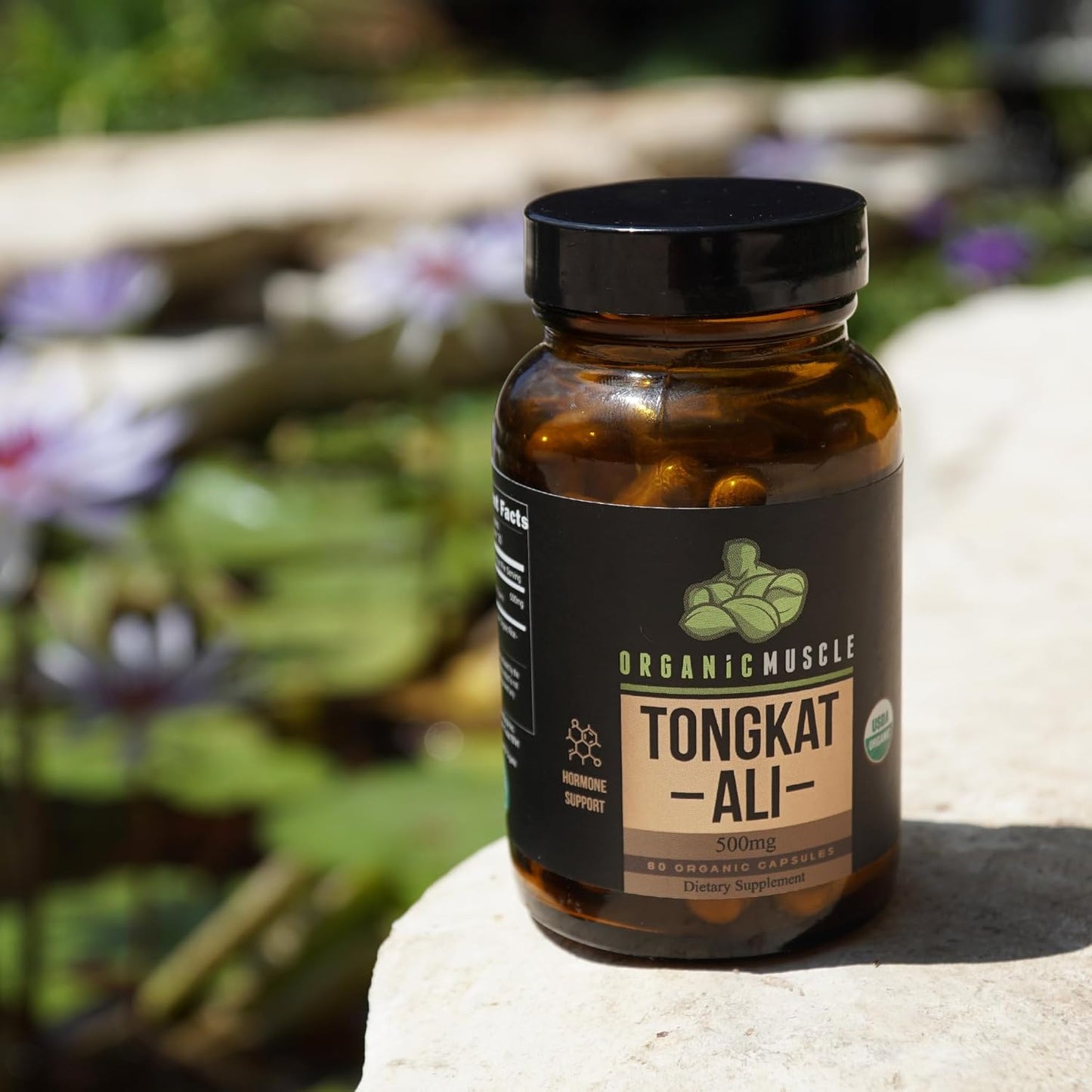 Pure Organic Tongkat Ali Root Supplement for Men - 500mg USDA Eurycoma Longifolia - Natural Male Performance & Hormone Support - 60 Count