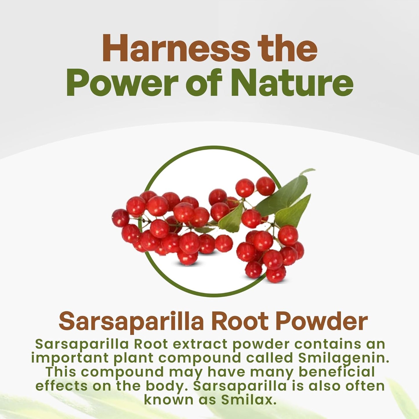 Pure Smilax Sarsaparilla Root Extract Powder - Potent 10:1 Strength Herbal Supplement