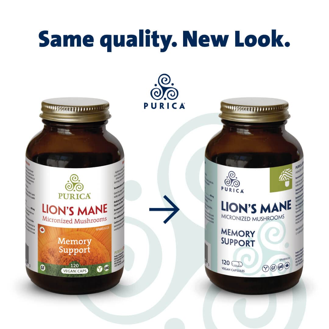 PURICA Lion's Mane Micronized Mushrooms Capsules - 60 Vegan Pills for Cognitive Health, Focus, and Memory Boost