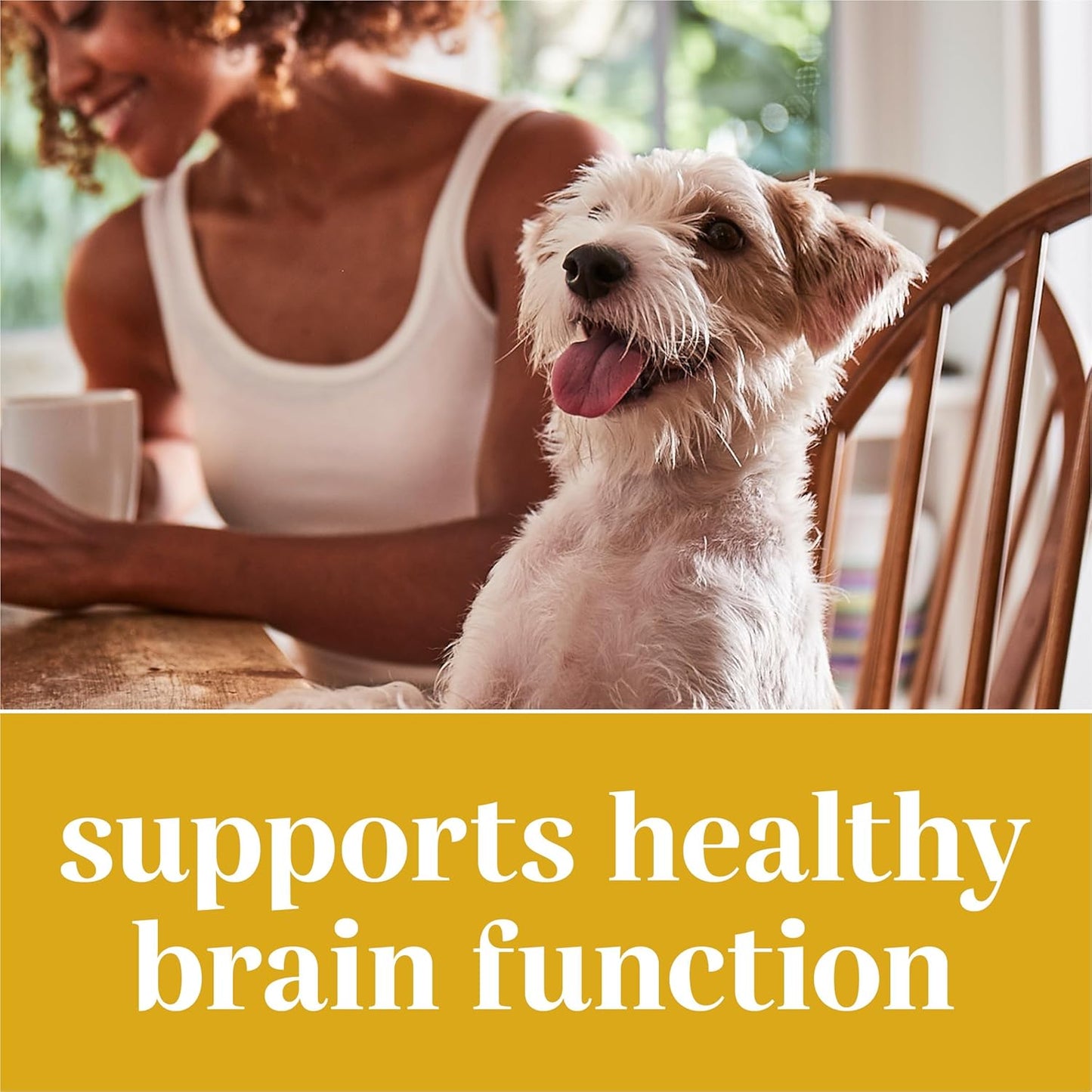 Purina EverRoot Dog Supplements for Brain Health with Coconut Oil - 4.02 oz Chewable Tablets
