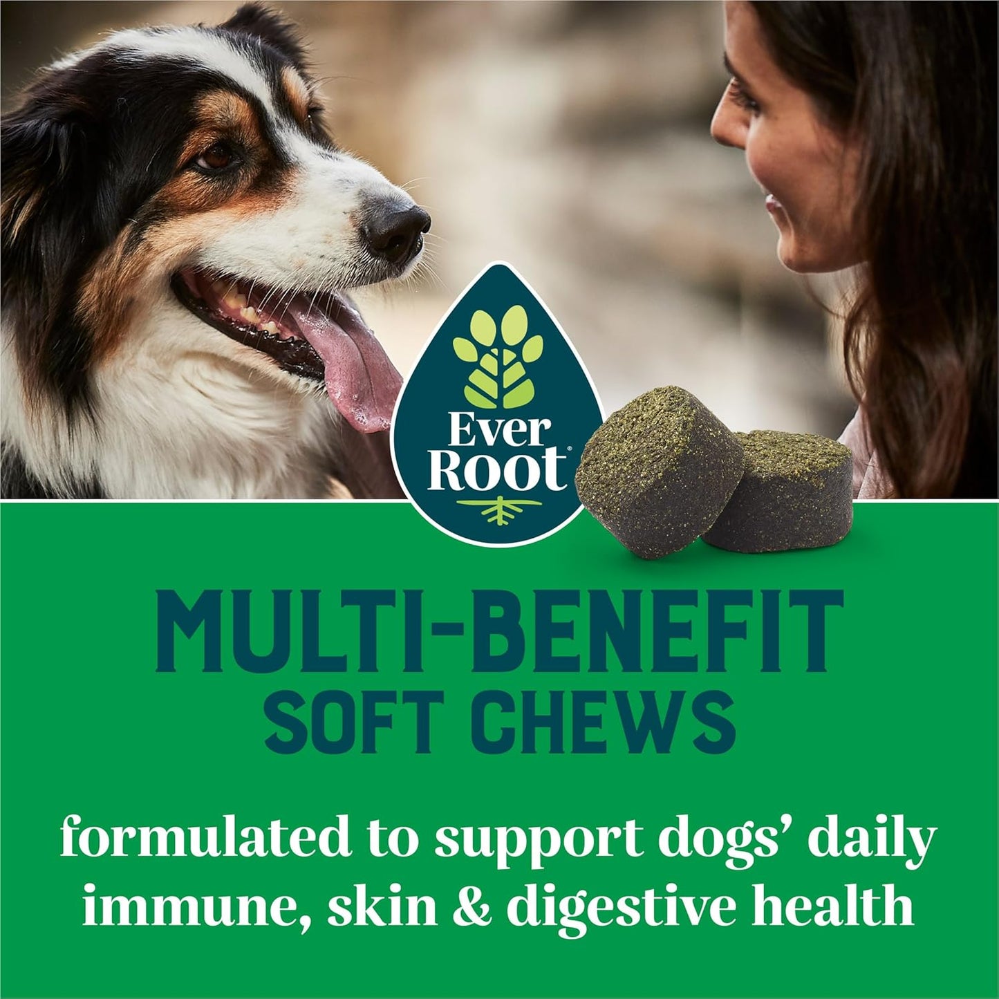 Purina EverRoot Soft Chews Dog Supplements - Multi-Benefit Formula - 10.6 oz. Canister