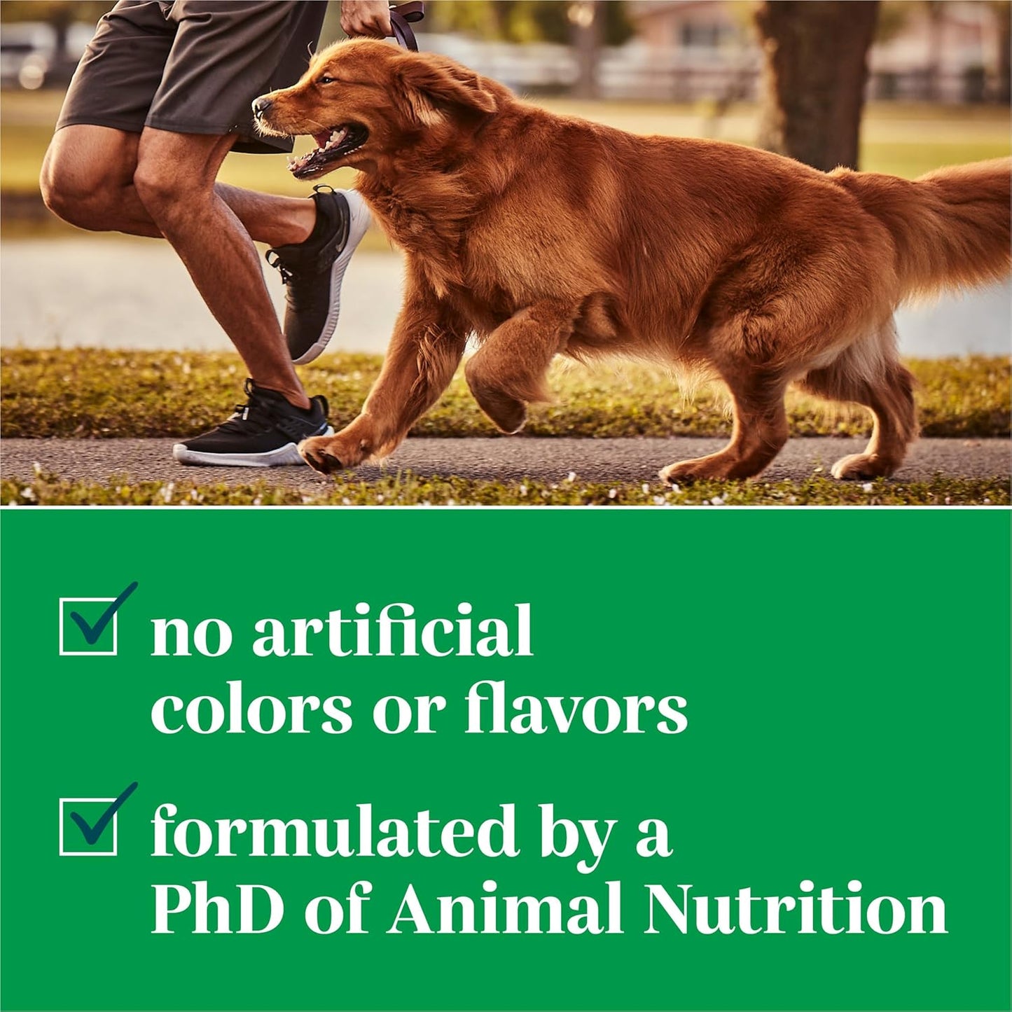 Purina EverRoot Soft Chews Dog Supplements - Multi-Benefit Formula - 10.6 oz. Canister